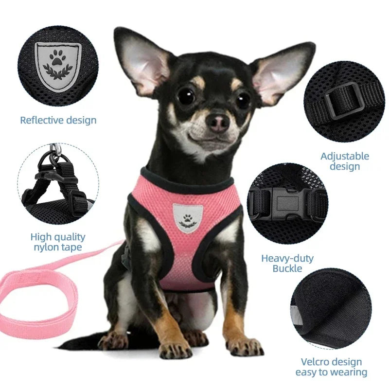 Adjustable Reflective Pet Harness & Leash Set – Soft Mesh Vest for Small Dogs & Cats.
