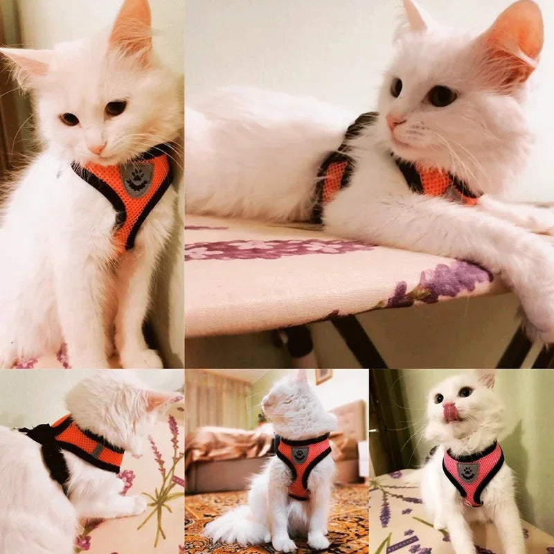 Adjustable Reflective Pet Harness & Leash Set – Soft Mesh Vest for Small Dogs & Cats.