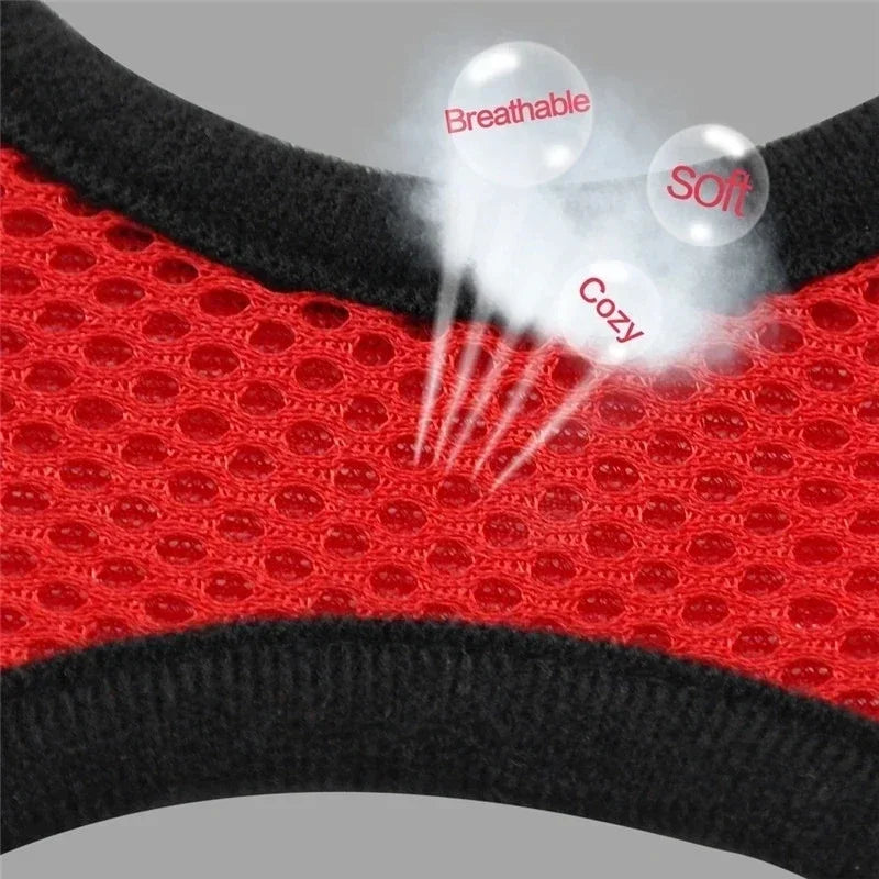 Adjustable Reflective Pet Harness & Leash Set – Soft Mesh Vest for Small Dogs & Cats.