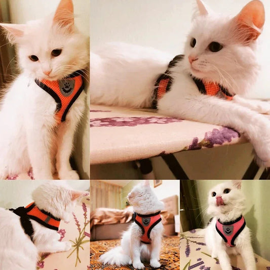 Adjustable Reflective Pet Harness & Leash Set – Soft Mesh Vest for Small Dogs & Cats.