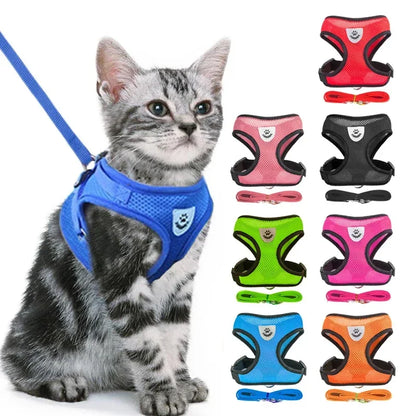 Adjustable Reflective Pet Harness & Leash Set – Soft Mesh Vest for Small Dogs & Cats.